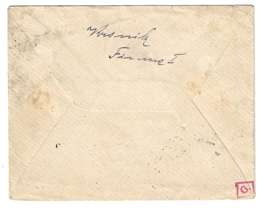 1919 Fiume - Lettera da Fiume per Vienna con 45 su 20 f. Segnatasse FRANCO 45