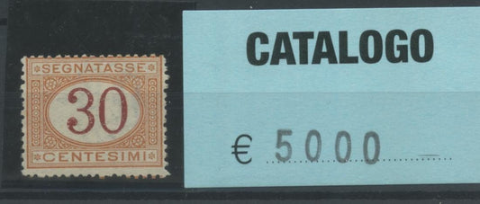 REGNO 1870 SEGNATASSE C.30 N.7 Ocra e Carminio **  CERT.0