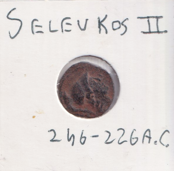 Moneta Antica Impero Seleucide Seleukos II Kallinikos (246-226 AC) Patina Sabbia