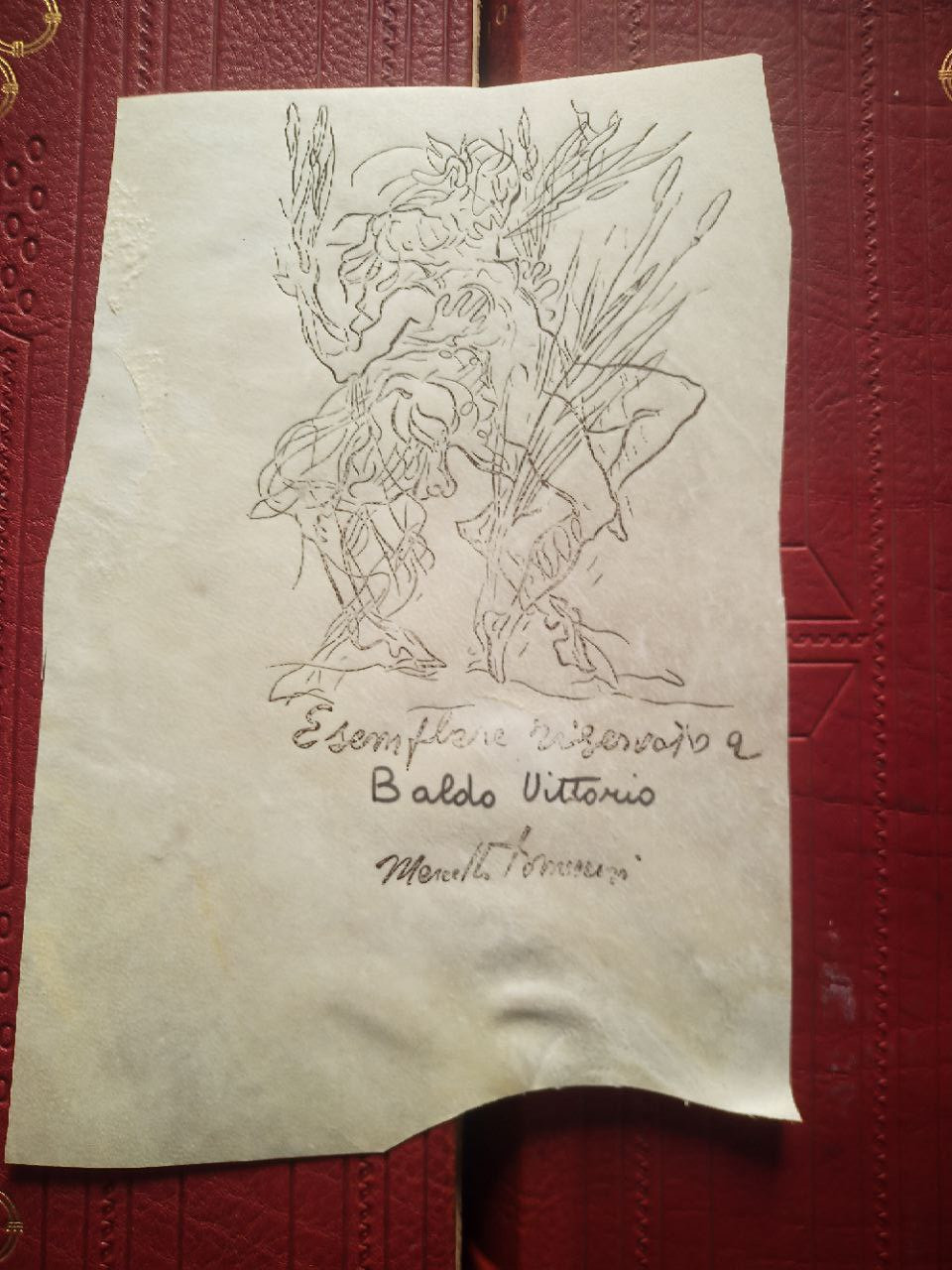 OVID'S METAMORPHOSIS (Illustrations by Marcello Tommasi) in-folio - eldec 1975