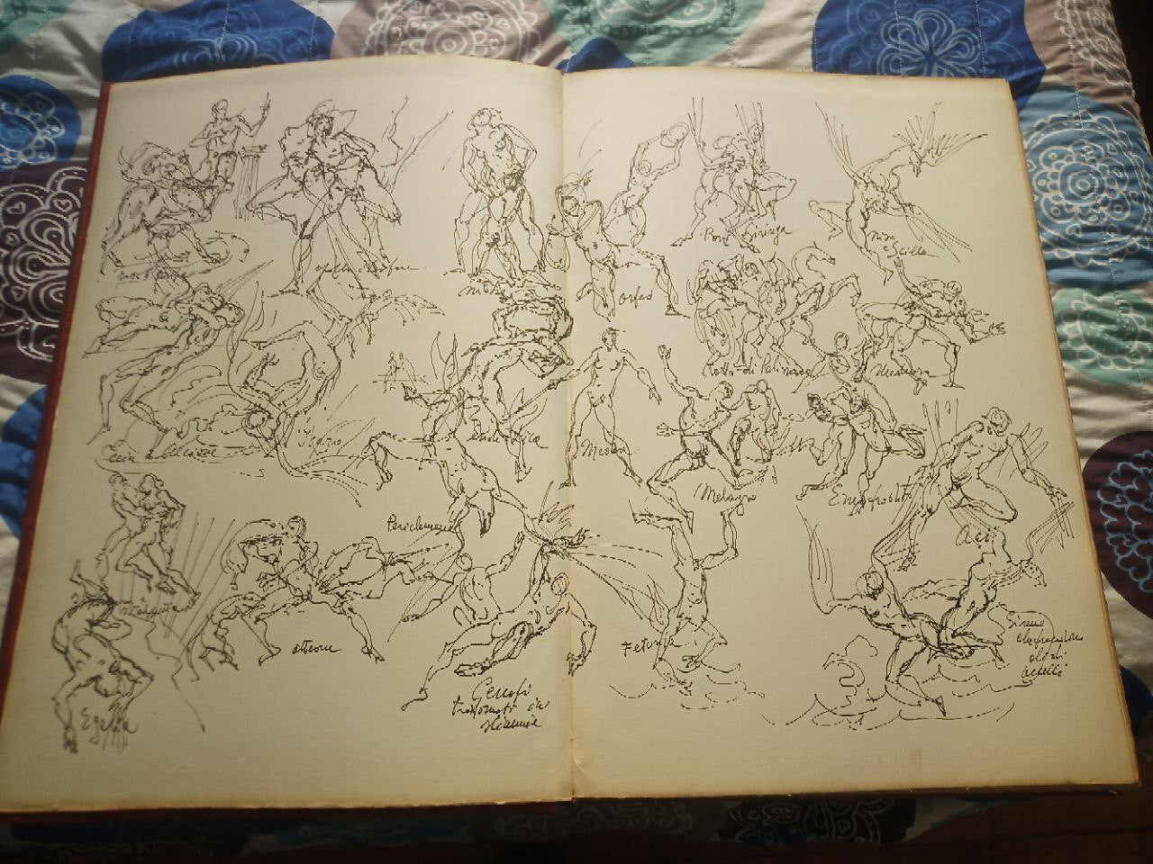 OVID'S METAMORPHOSIS (Illustrations by Marcello Tommasi) in-folio - eldec 1975