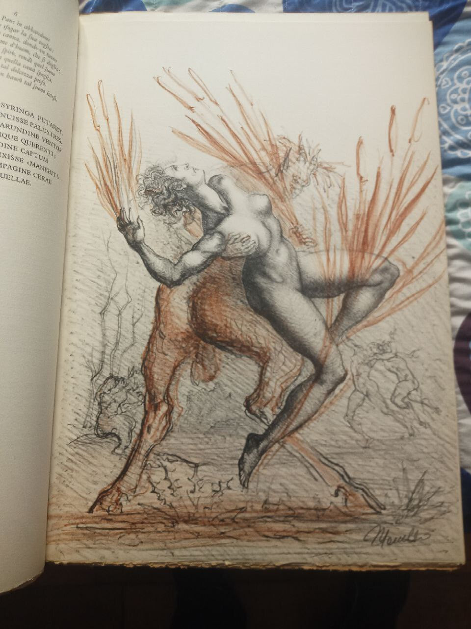 OVID'S METAMORPHOSIS (Illustrations by Marcello Tommasi) in-folio - eldec 1975