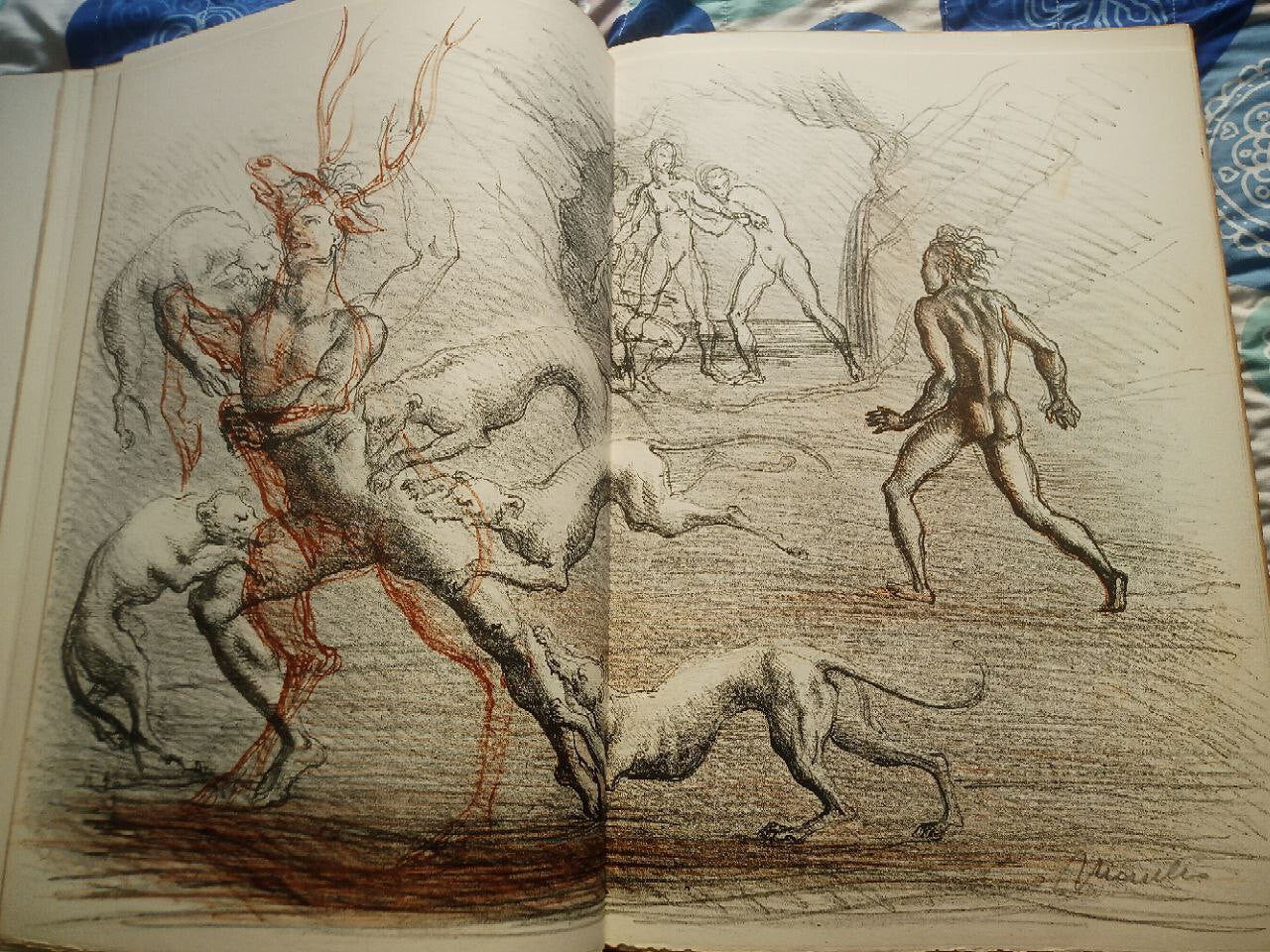 OVID'S METAMORPHOSIS (Illustrations by Marcello Tommasi) in-folio - eldec 1975