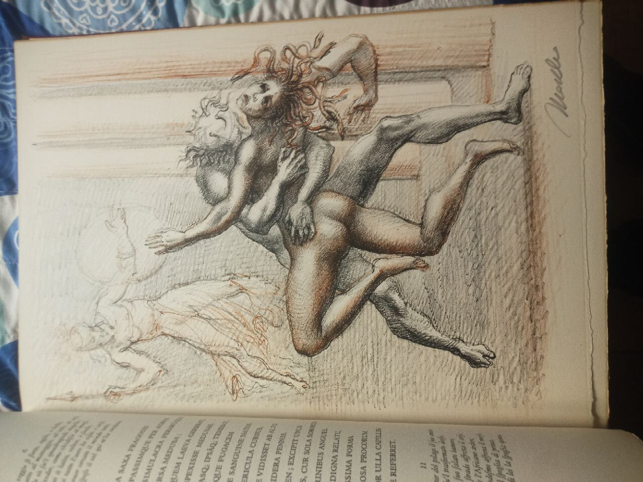 OVID'S METAMORPHOSIS (Illustrations by Marcello Tommasi) in-folio - eldec 1975