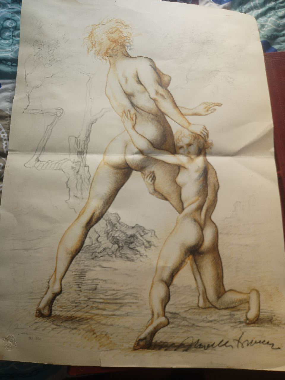 OVID'S METAMORPHOSIS (Illustrations by Marcello Tommasi) in-folio - eldec 1975