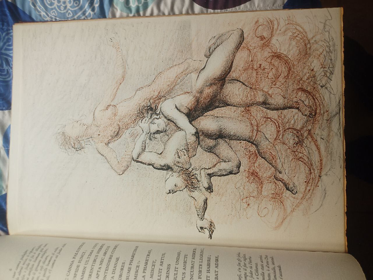 OVID'S METAMORPHOSIS (Illustrations by Marcello Tommasi) in-folio - eldec 1975